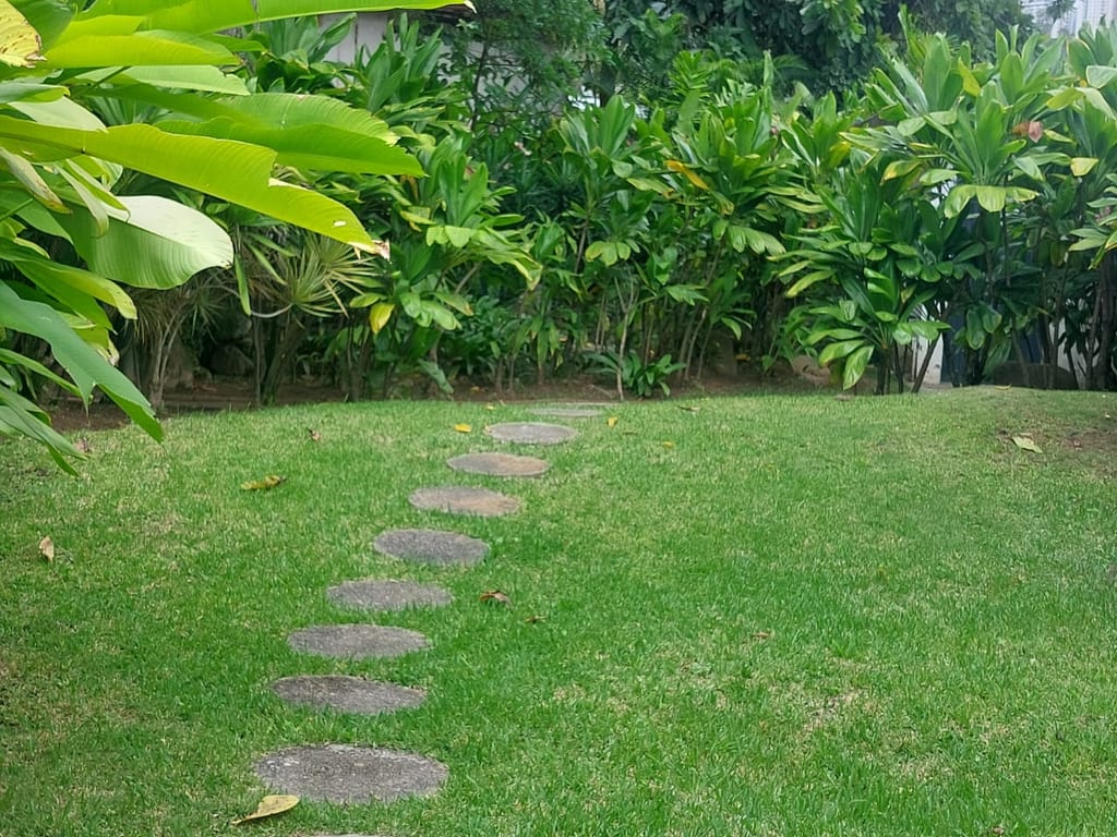 Foto 16