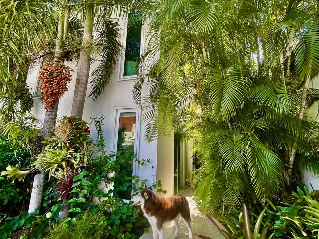Casa en venta de 4 hab. y 400 m² en Sebucán, Caracas