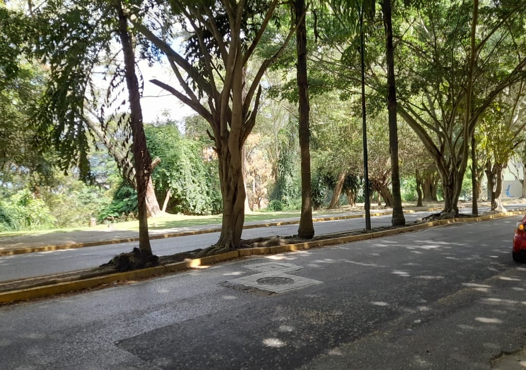 Foto 7