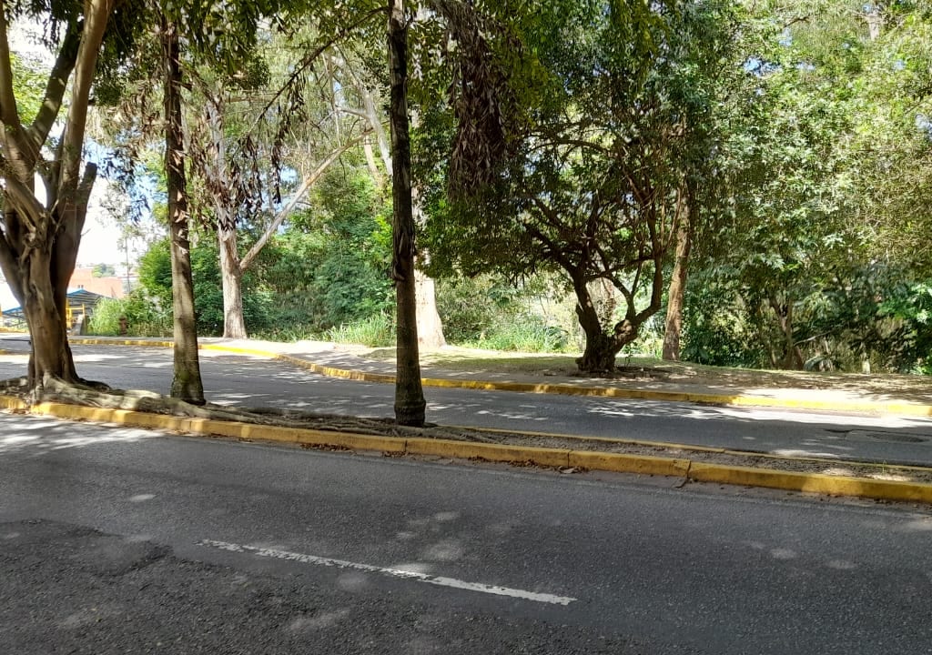 Foto 8