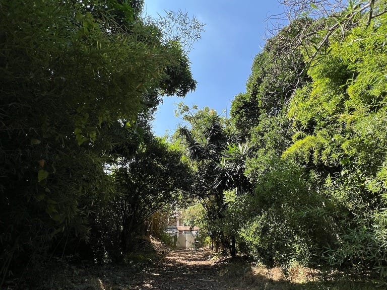 Terreno en Los Palos Grandes, Caracas