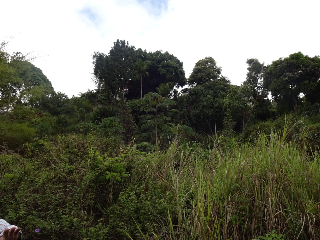 Terreno en Lomas del Club Hípico, Caracas