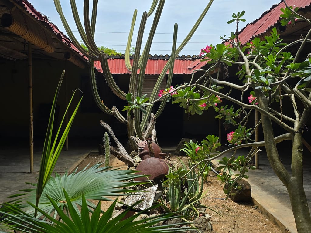 Foto 16