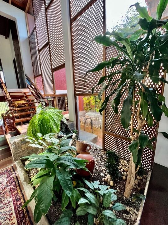 Foto 12