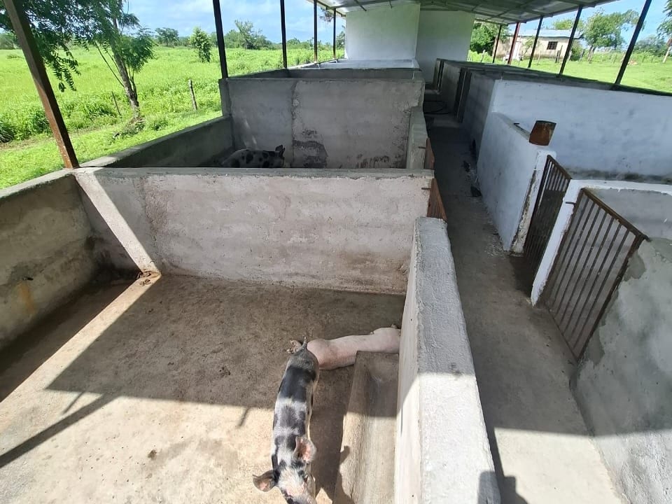 Foto 12