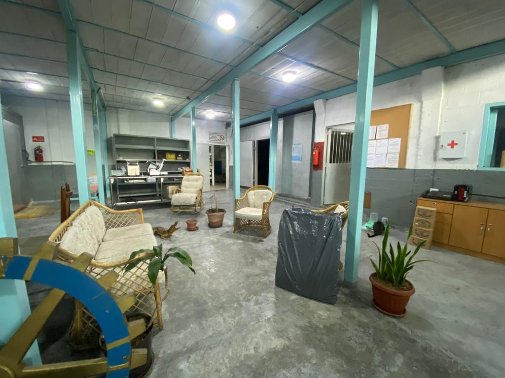 Foto 10