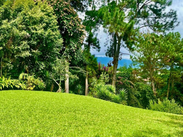 Casa en venta de 6 hab. y 580 m² en La Lagunita, Caracas
