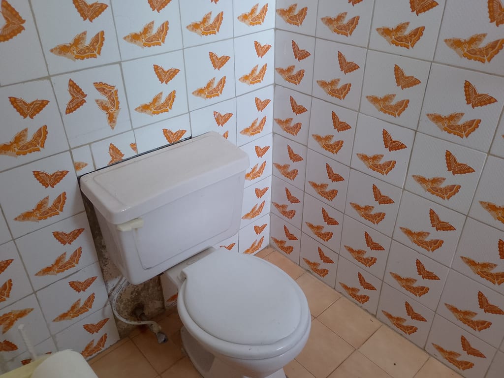 Foto 11
