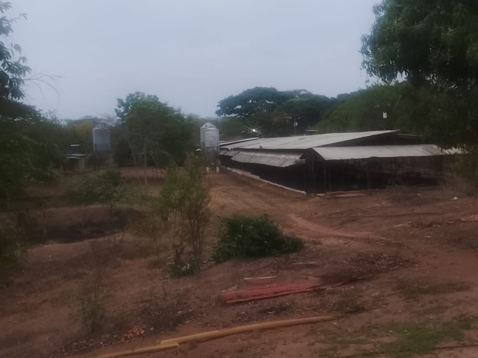 Finca en Tinaco