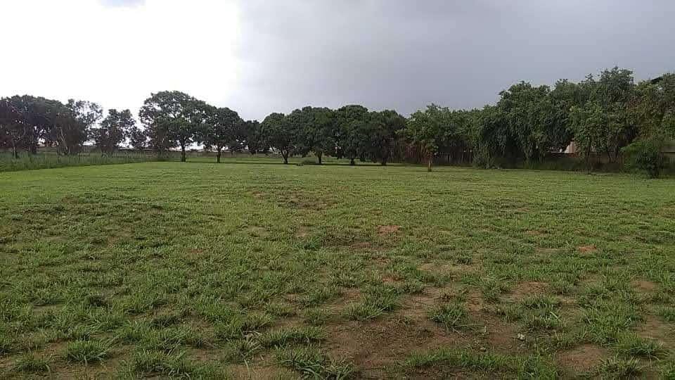 Foto 11