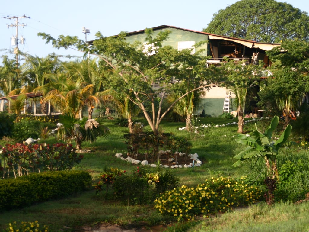 Foto 11