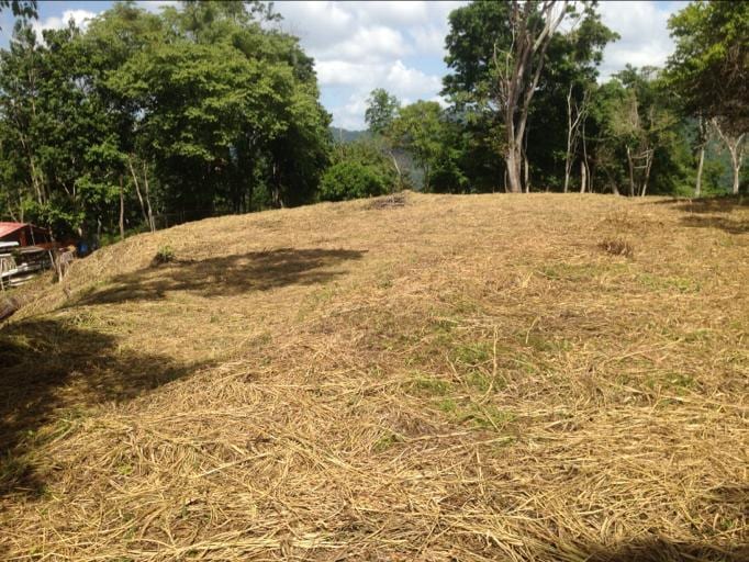 Terreno en Sabaneta, Caracas