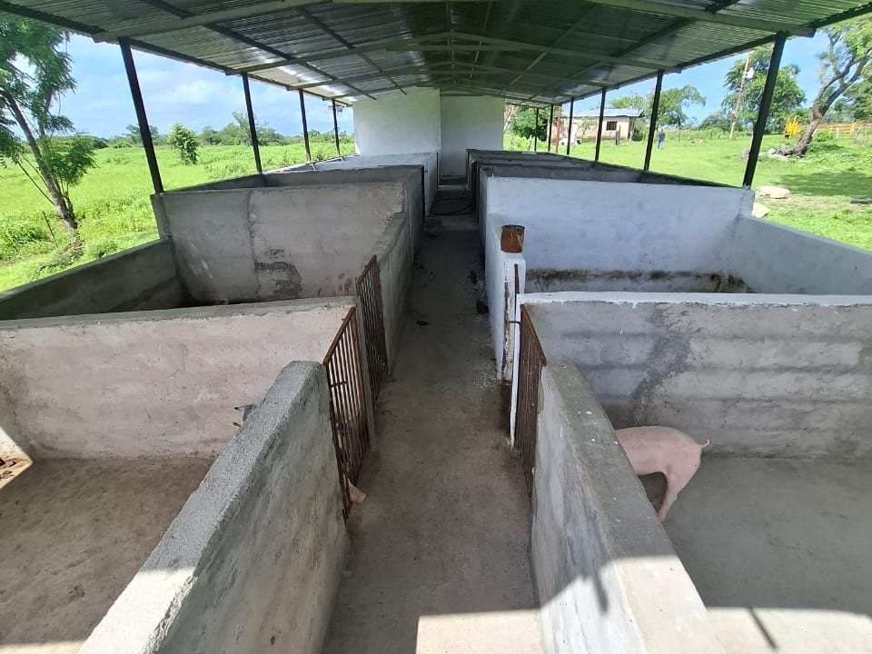 Foto 11