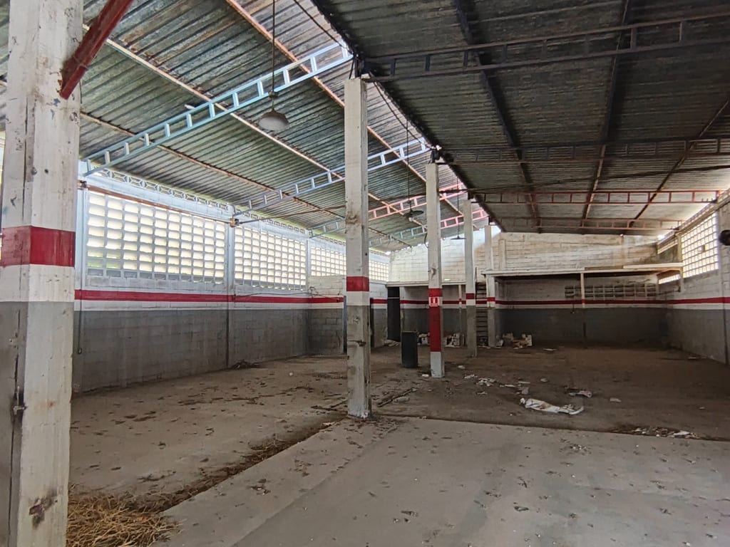 Foto 11