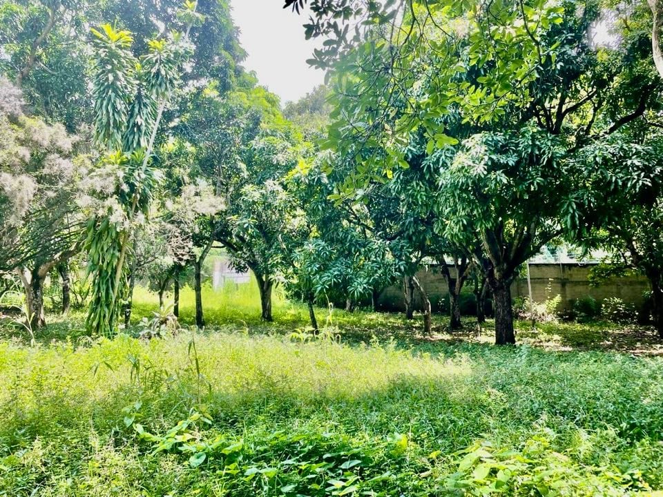 Terreno en venta de 6.570 m² en Los Chorros, Caracas