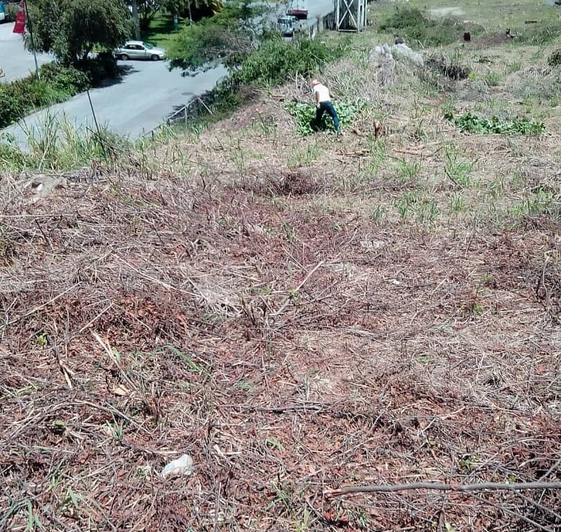 Foto 7