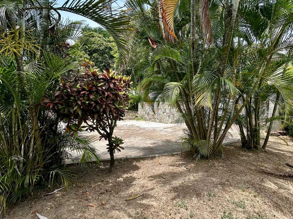 Foto 10
