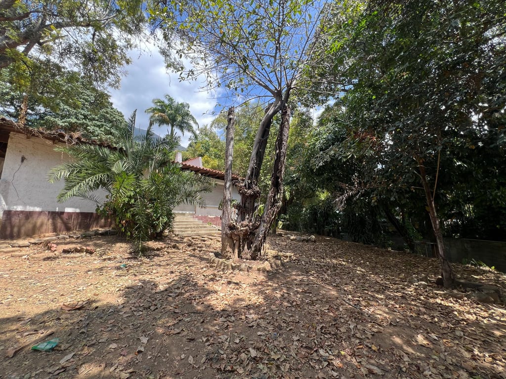 Foto 8