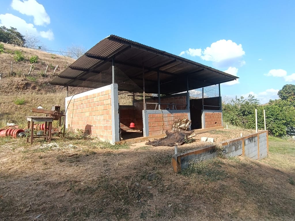 Foto 12