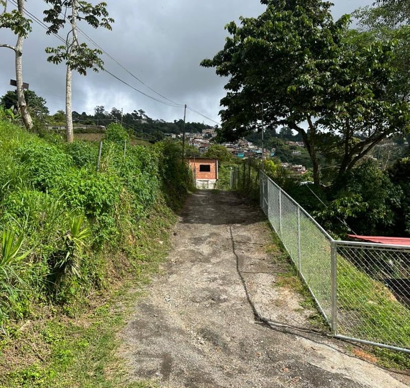 Foto 12