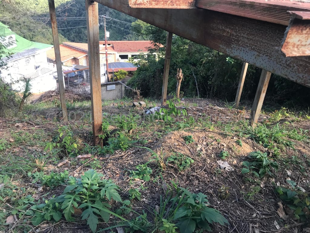 Foto 14