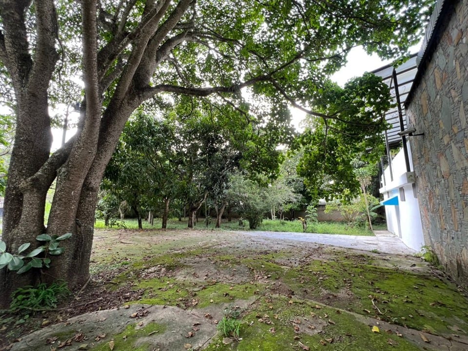 Foto 9