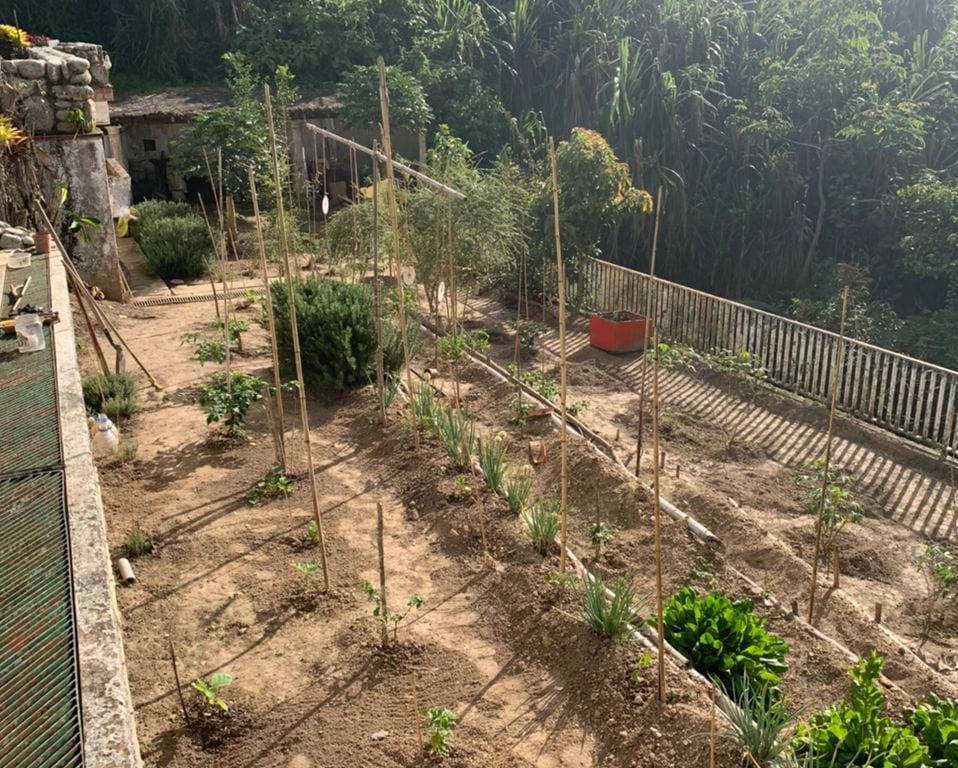 Foto 15