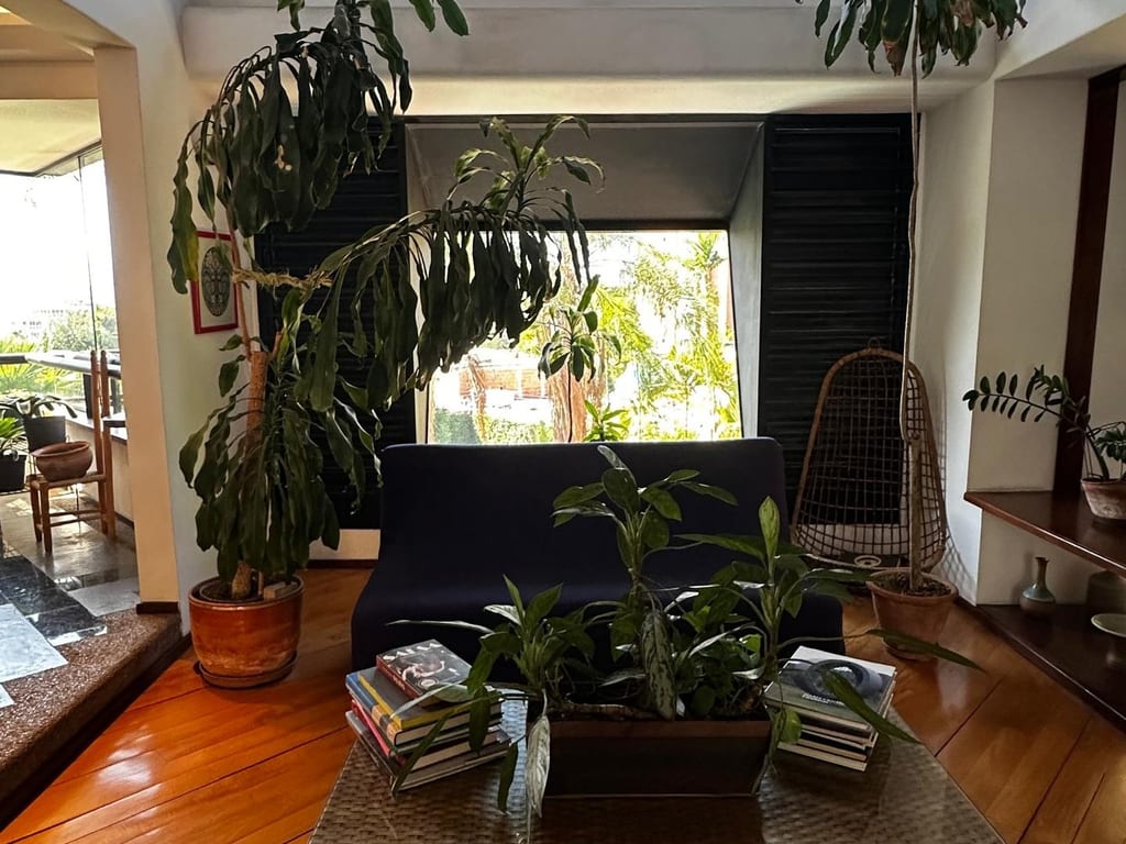 Foto 10
