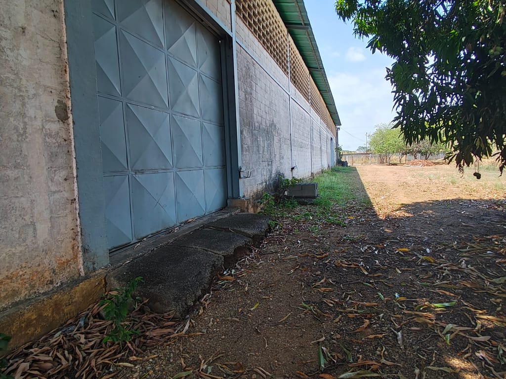 Foto 11