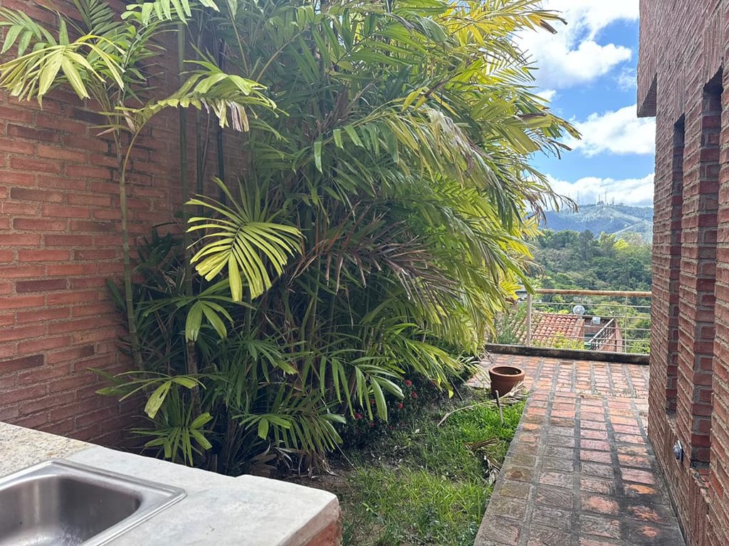 Foto 7