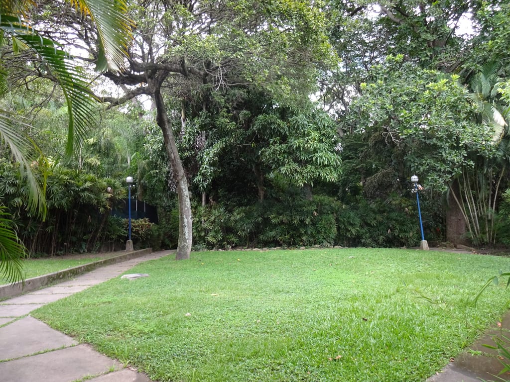 Foto 7