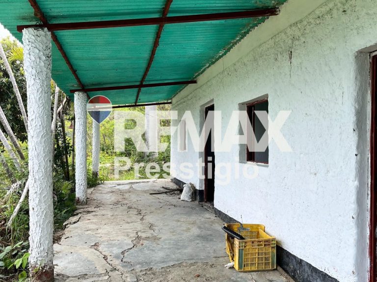 Finca en San Juan