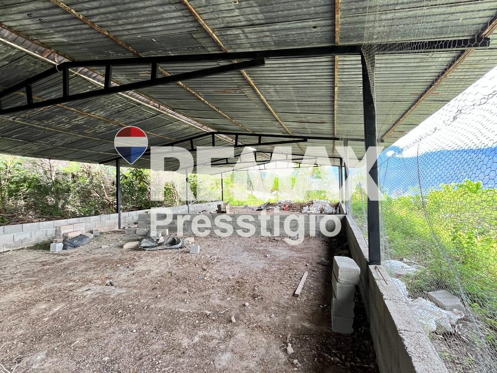 Foto 12