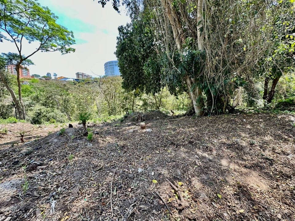 Terreno en venta de 2.047 m² en Cerro Verde, Caracas