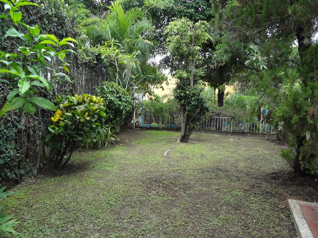 Foto 16