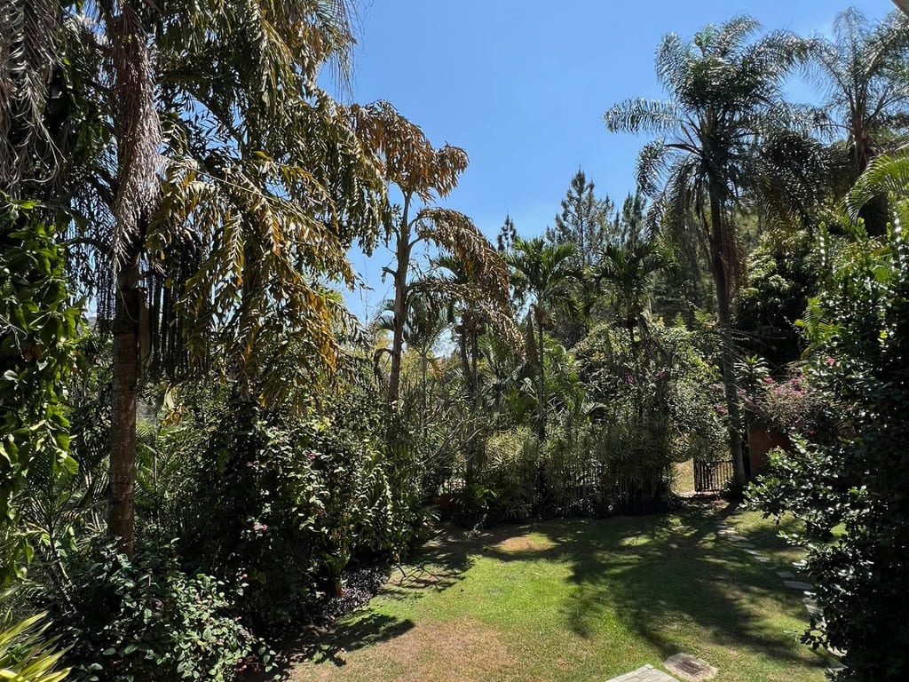 Foto 11