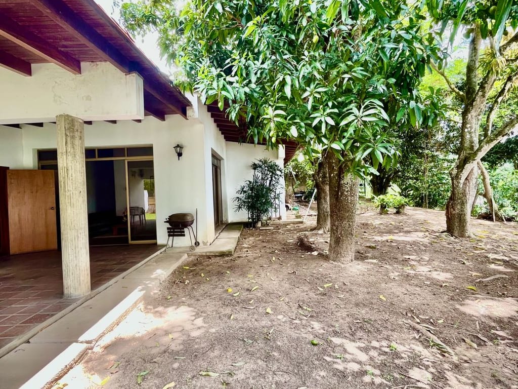 Foto 13