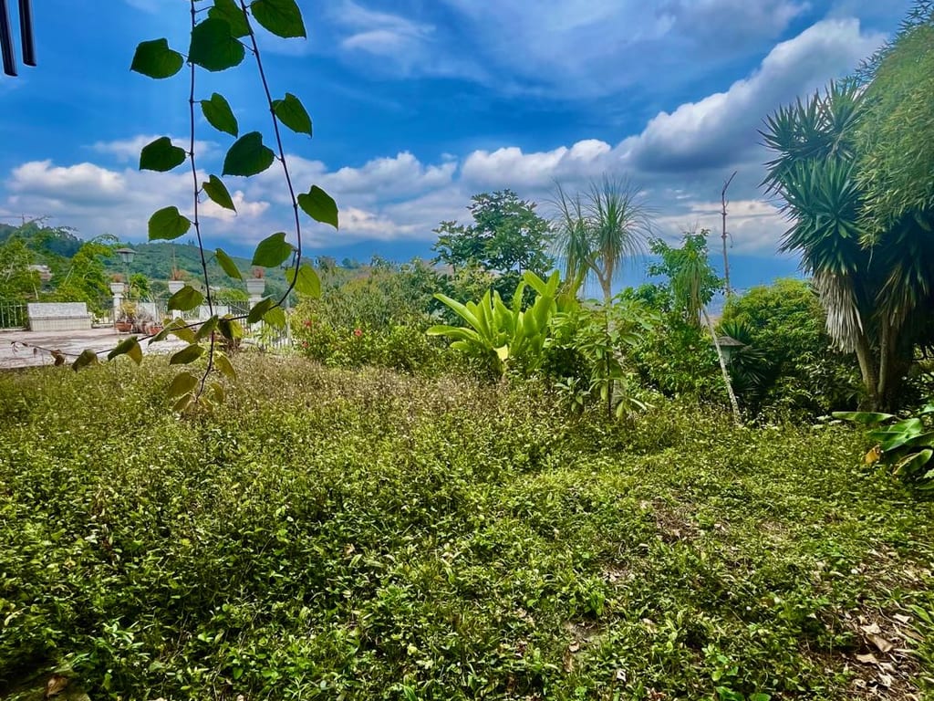 Foto 10