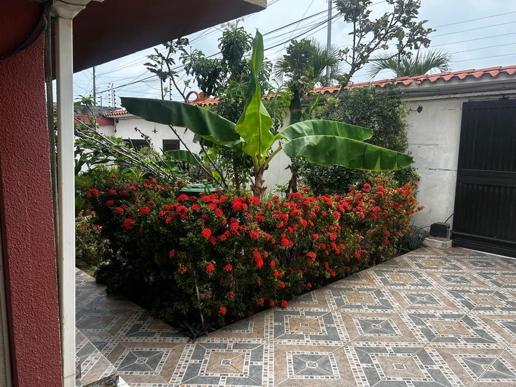 Foto 10