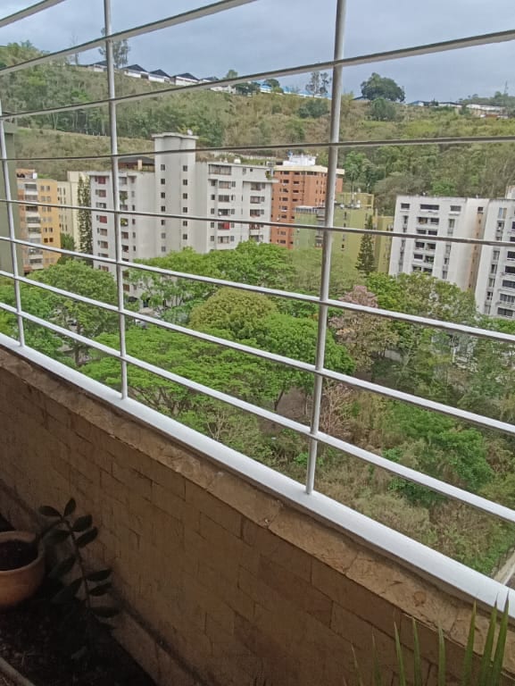 Foto 15