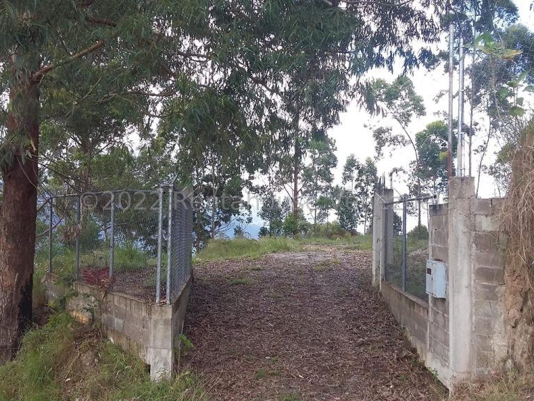 Terreno en Sector Potrero Perdido, Colonia Tovar