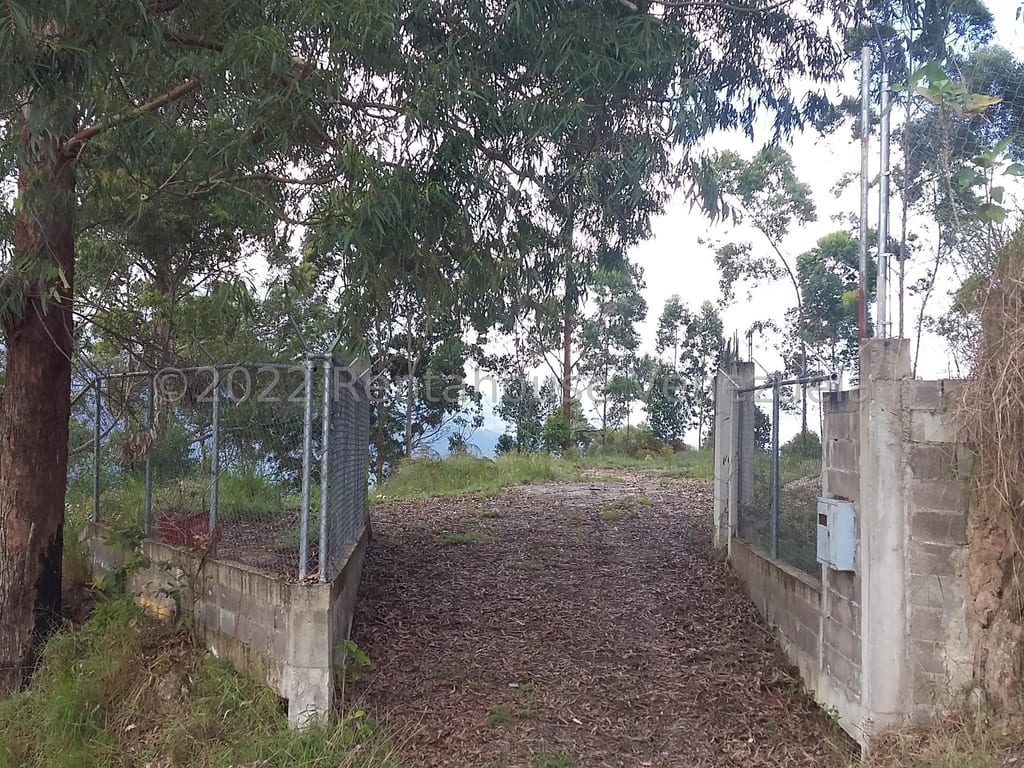 Terreno en Sector Potrero Perdido, Colonia Tovar