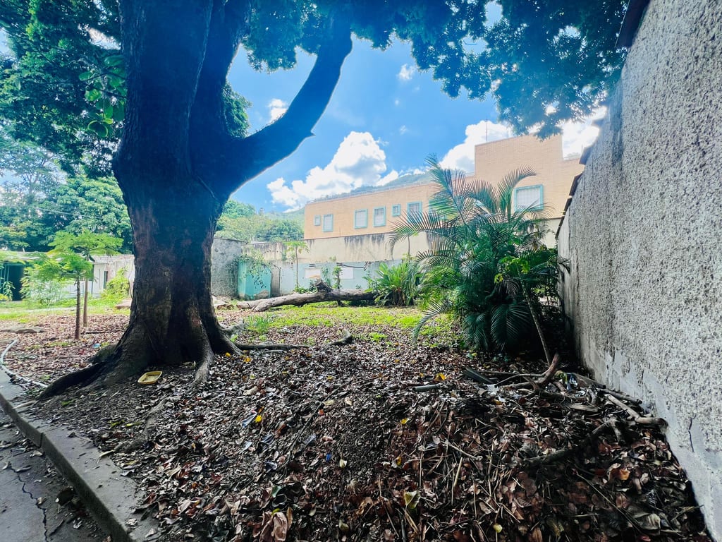 Foto 12