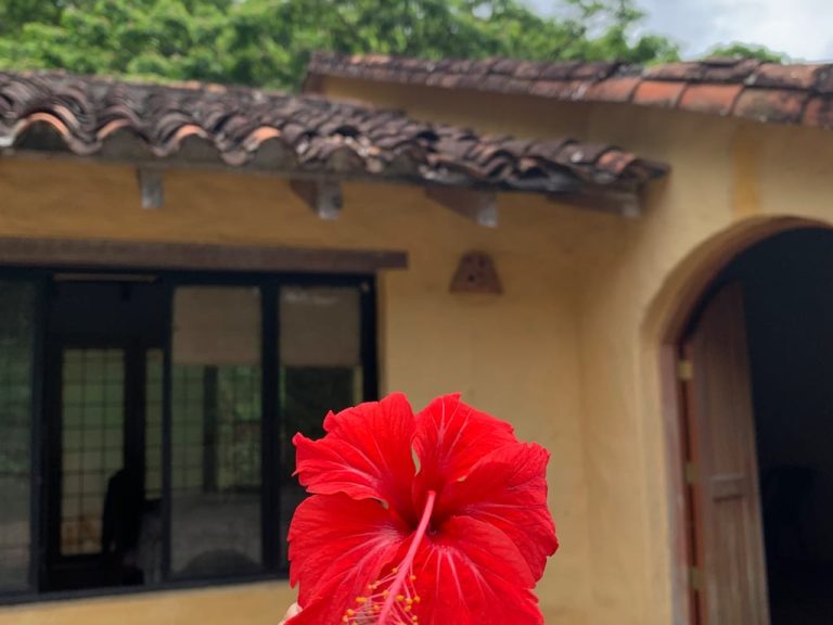 Finca en El Penon