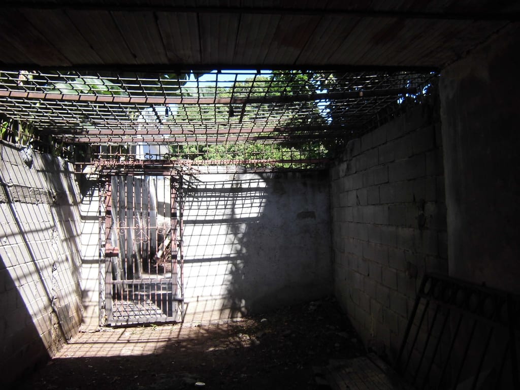 Foto 11