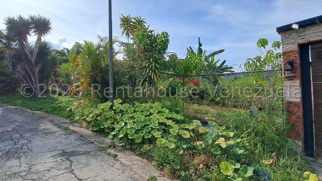 Terreno en Monte Elena, Caracas