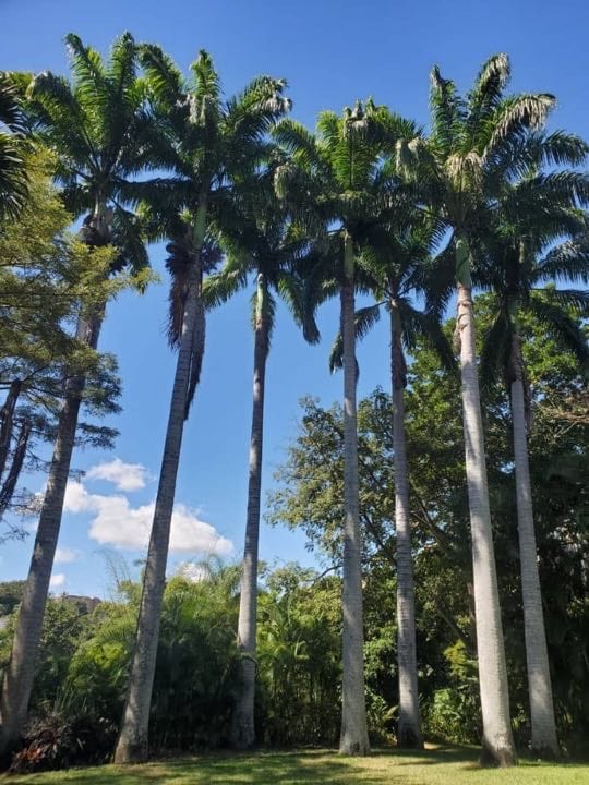 Foto 7