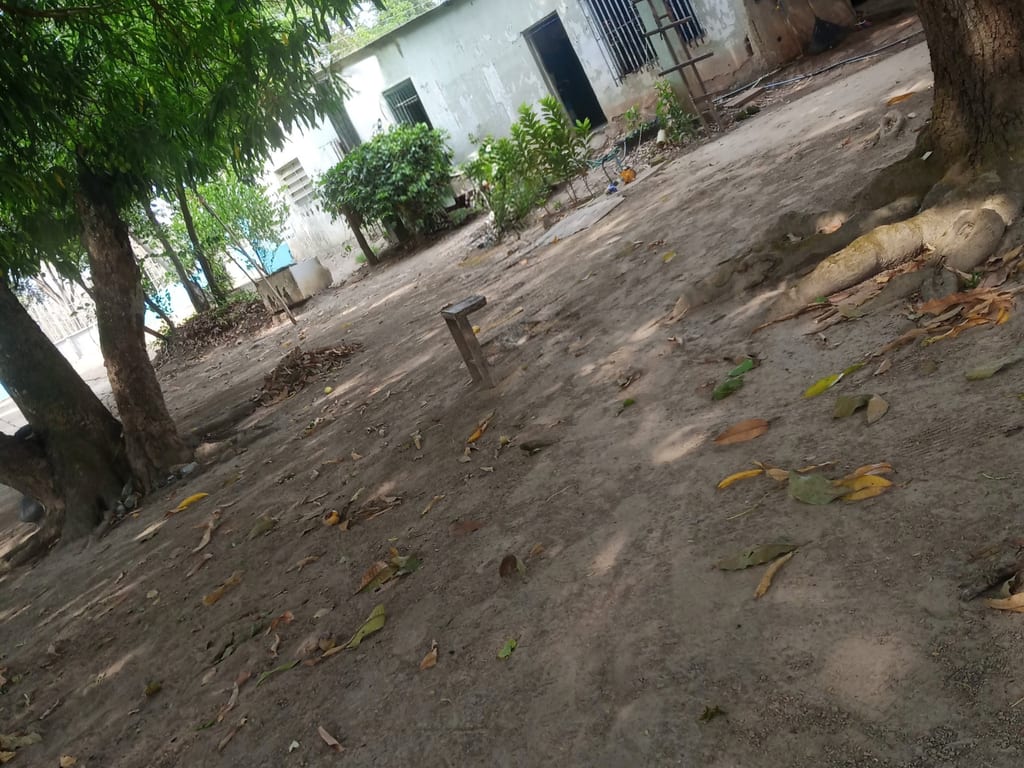 Terreno en Camoruco