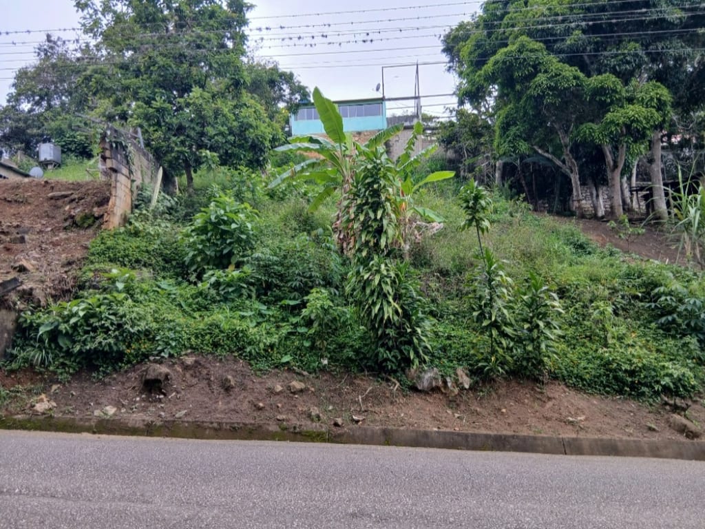 Terreno en El Copey, Caripe