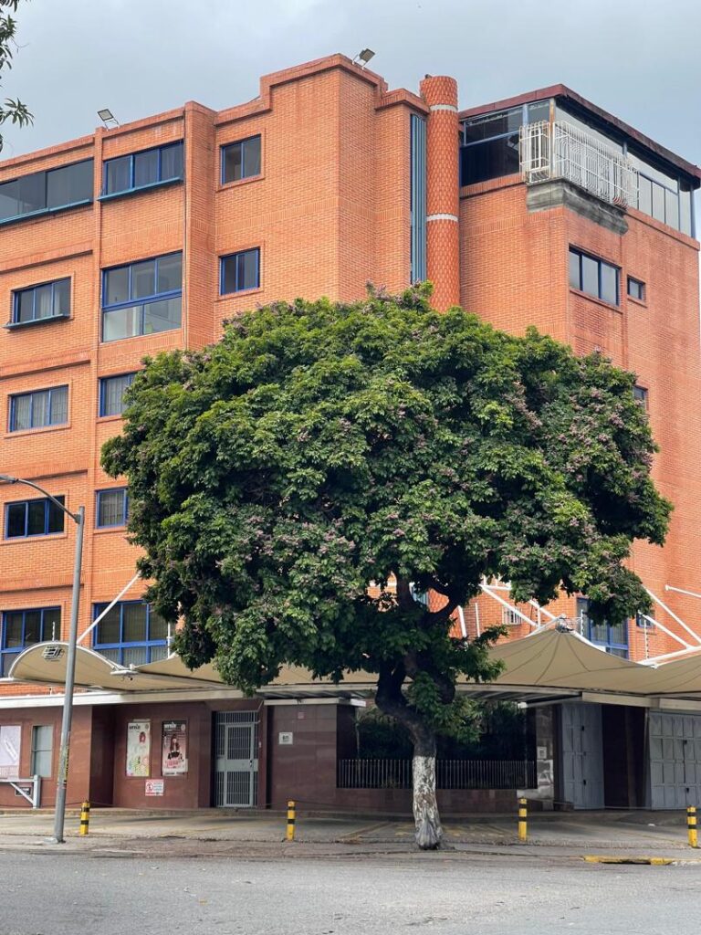Edificio de 1.378 m² con 12 habitaciones en Santa Mónica